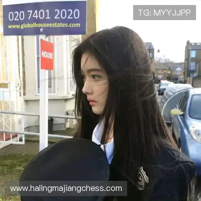 石心欣